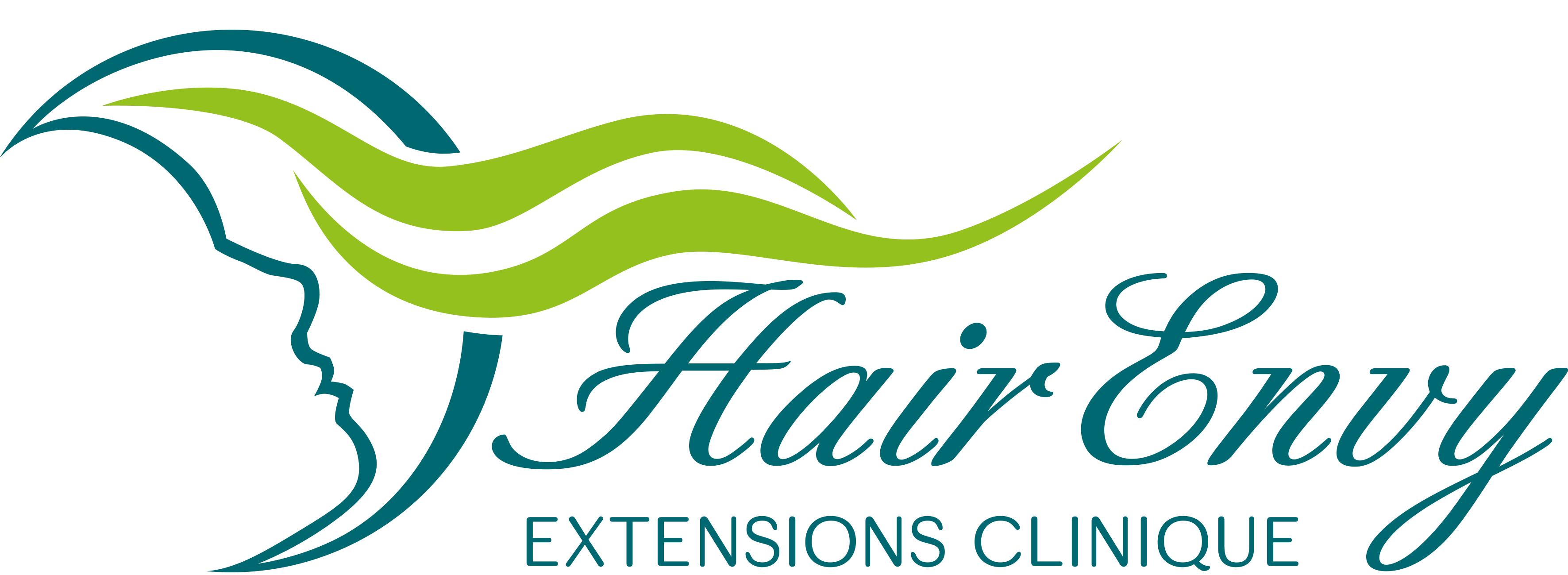 Hair Envy Extensions Clinique